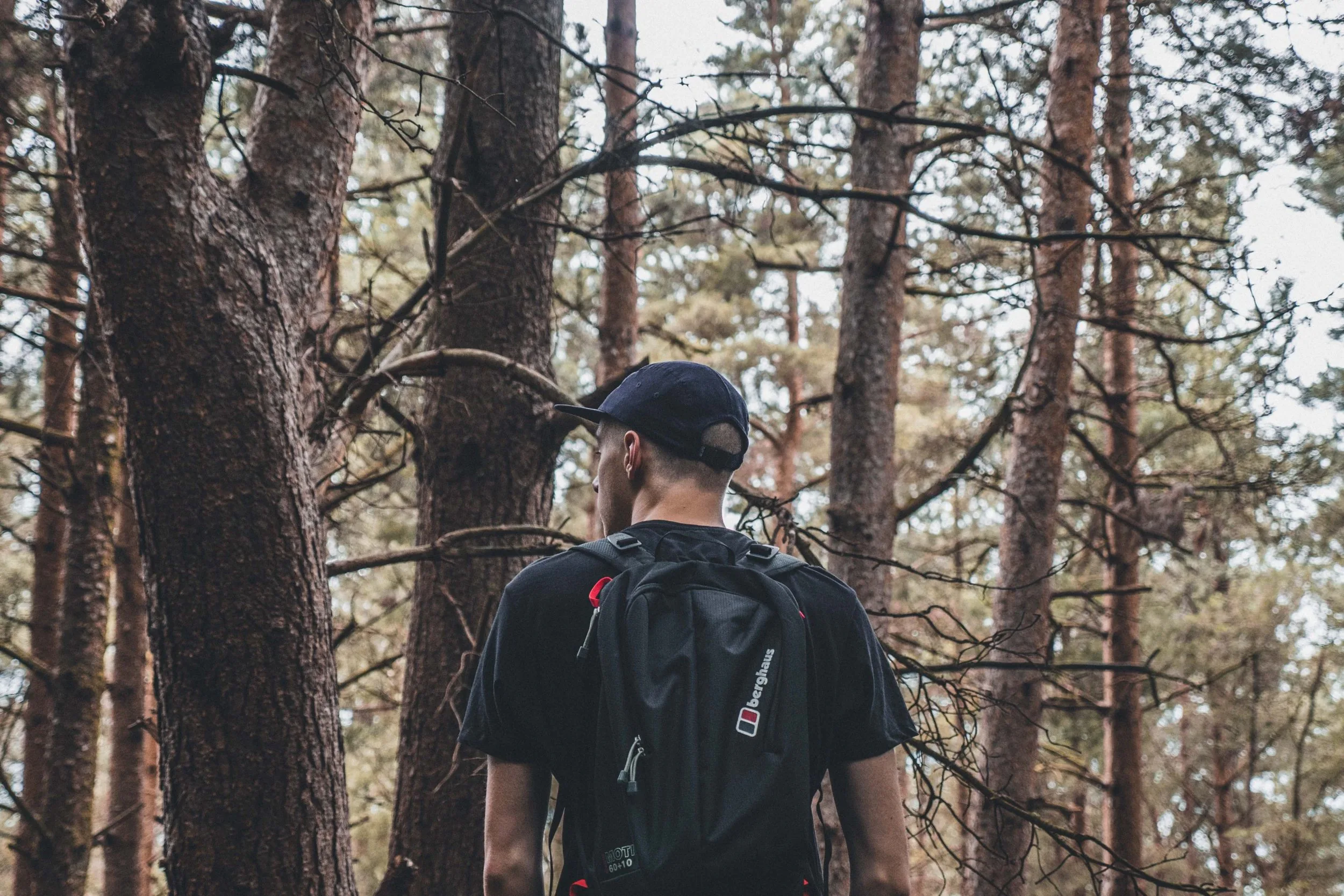 Cover of the article 想對年輕設計師說的話: a hiker with a backpack in a pine forest